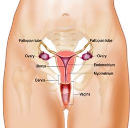 Cervical cancer