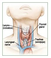 Thyroidectomy