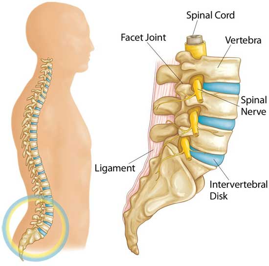  What is the best treatment for a slipped disc?