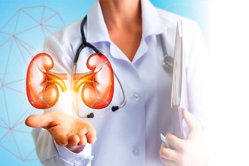 Kidney Transplant Cost in India