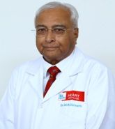 Dr Ganesh K Mani