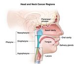 Head and Neck Cancer – Treatment and Surgery