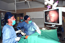  Hysterectomy: A surgery for removal of uterus at very affordable cost in India.
