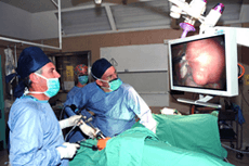 hysterectomy surgery india cost fibroids avoid nor uterus ignore