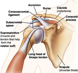 Shoulder Treatment