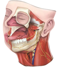  Oral Cancer Hospitals in India – Oral Cancer Treatment