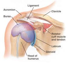  Shoulder Surgery at SafeMedTrip Affiliated World Class Hospitals in India
