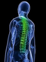  When Spine Fusion Surgery is Needed – Minimally Invasive Spinal Fusion Surgery at World Class Hospital in India