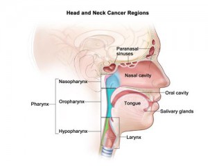  Highly-Effective and Less expensive than Traditional Chemotherapy for Cancer Patients