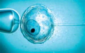  In-Vitro fertilization (IVF) at World Class Hospitals in India with Higher Success Rate